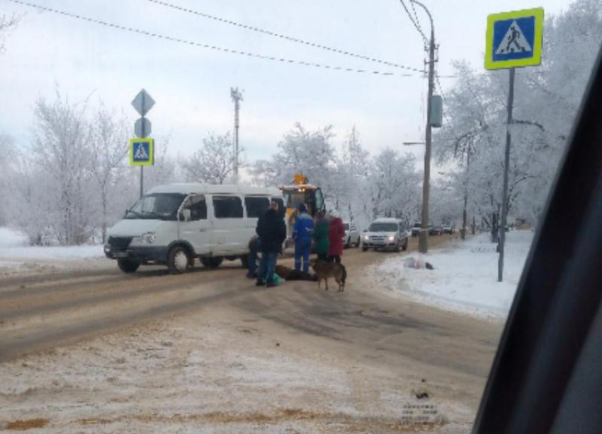 Живой человек лежит на дороге в Волжском