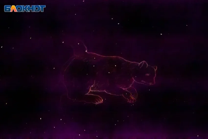 Не распыляться на лишнее советуют звезды: гороскоп на 8 апреля