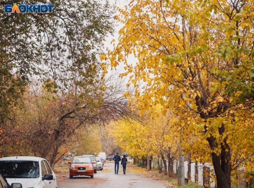 В воскресенье погода в Волжском будет пасмурная