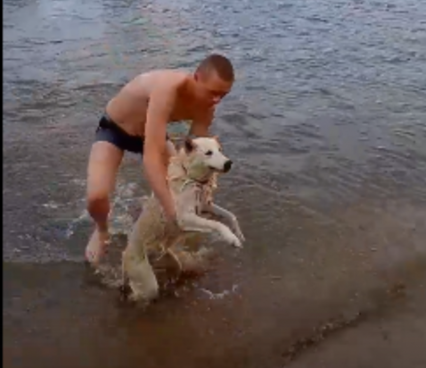 Закаленные волжские парни спасли собаку, вытащив ее из реки