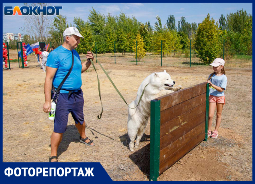 «Собака должна быть культурной»: в Волжском открыли новую площадку для выгула собак