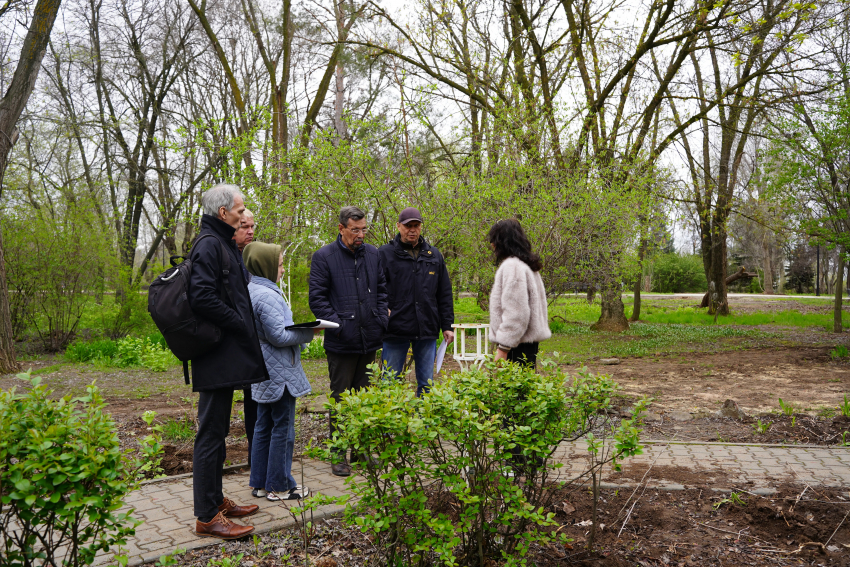 Обновят скверы, уберут деревья: что ждет зеленые зоны Волжского