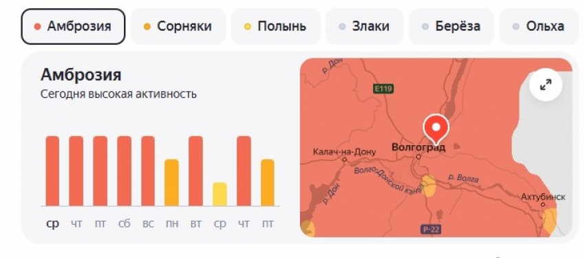 Красный код опасности по аллергии в Волжском продлится до воскресенья 