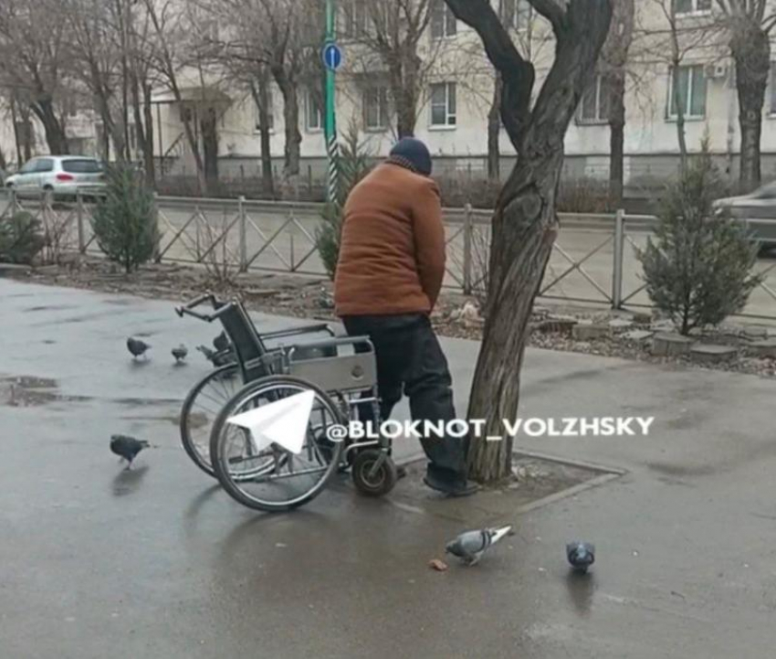Чудесное исцеление по зову природы: в Волжском мужчина на коляске справил нужду на центральной аллее 