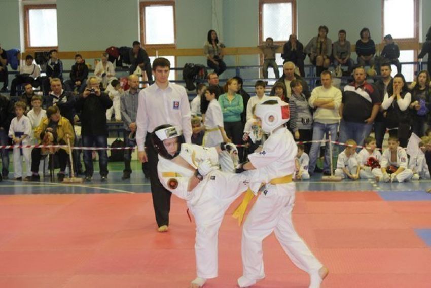 Волжане показали отличный результат на соревнованиях по каратэ киокусинкай