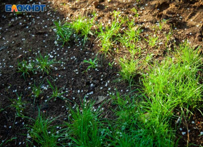 Пасмурно, но без осадков: прогноз погоды на среду в Волжском