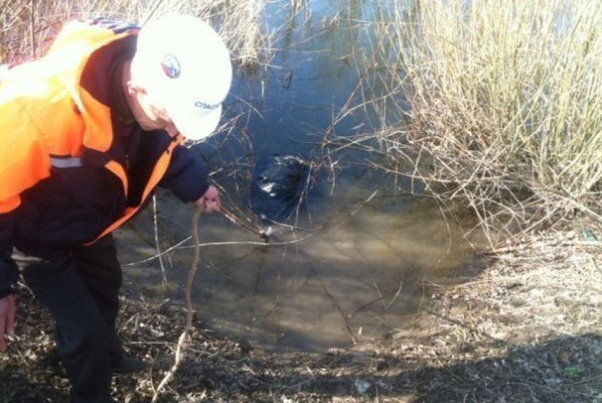 Под Волгоградом в реке обнаружен труп пенсионера в рыболовной сети