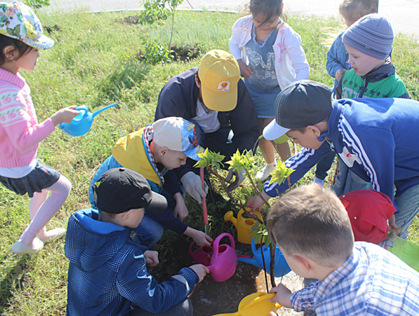 Малыши из детсадов помогли высадить две сотни цветов у ФОКа «Авангард» в Волжском