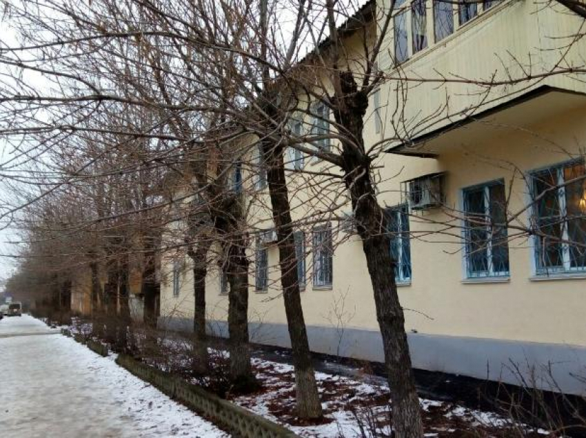 Синоптики пообещали «плюс» в предновогодние дни в Волжском