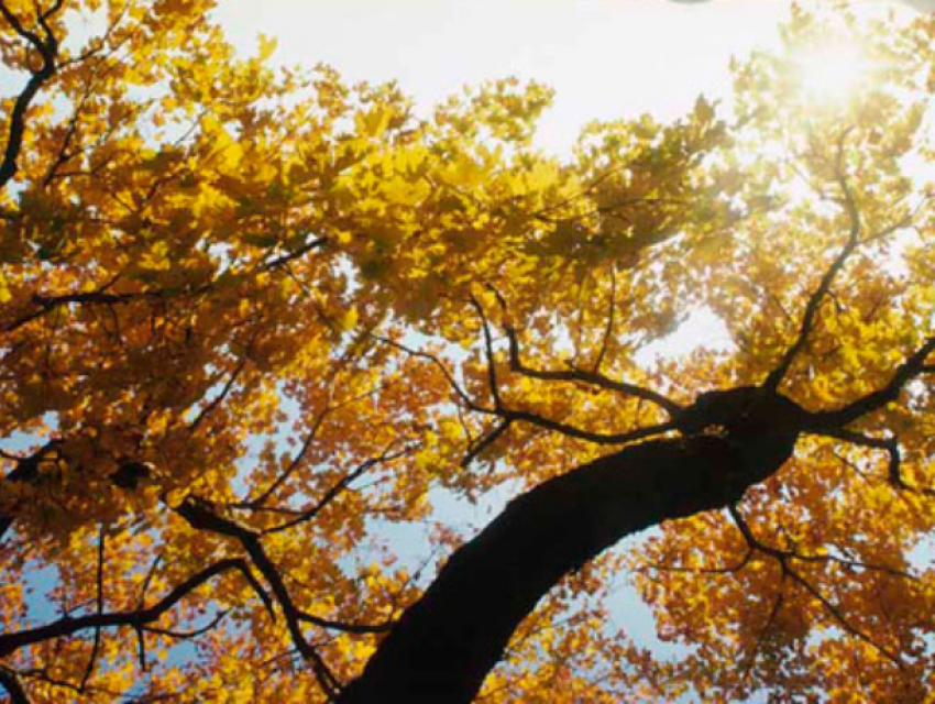 В четверг утро заставит волжан померзнуть