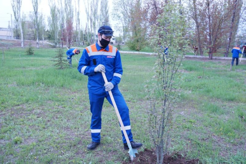 С заботой о природе: завод AB InBev Efes в Волжском принял участие в городском субботнике