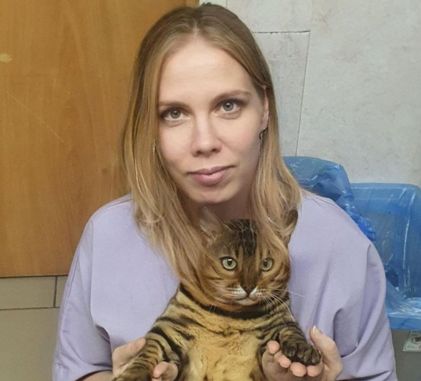 Как извлеченные из собаки трусы стали причиной развода: волжский ветеринар поделился самыми странными историями