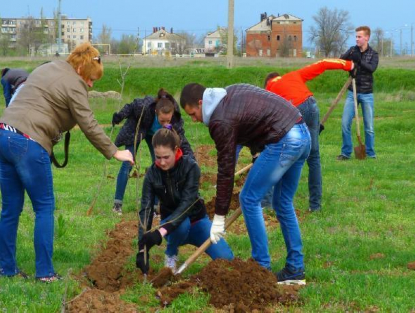 В Волжском найдут подрядчика для благоустройства парка в Краснооктябрьском