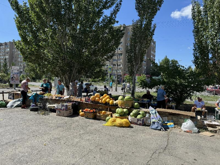 В Волжском снова штрафуют пенсионеров за нелегальную торговлю