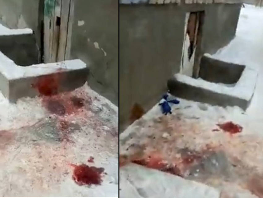 Кровавое убийство произошло в Волжском в новогоднюю ночь