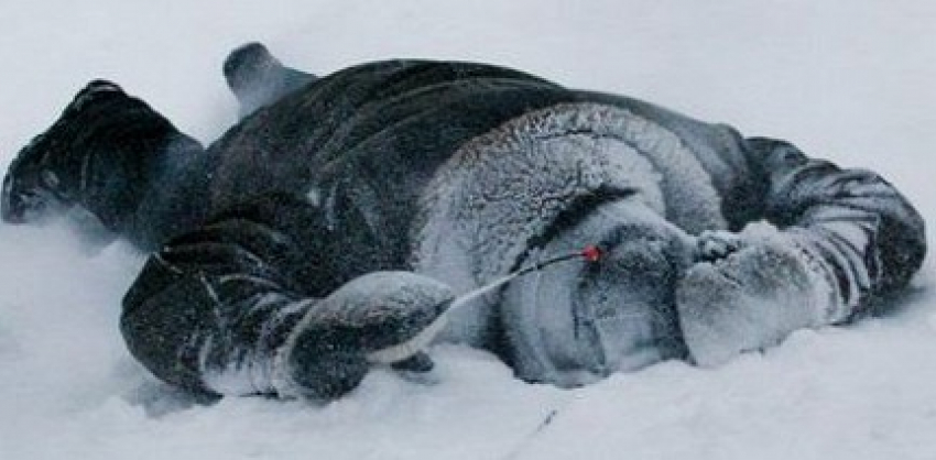 В поле под Волгоградом найден замерзшим 53-летний мужчина