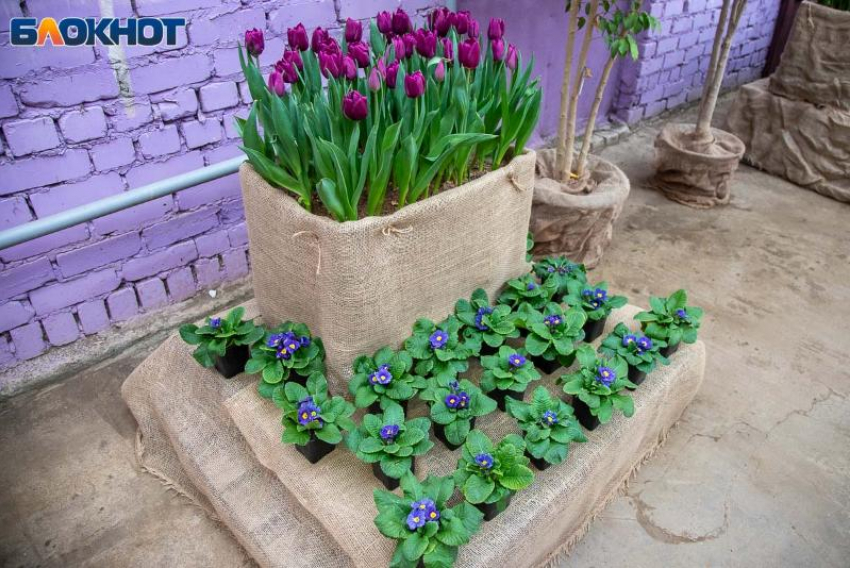 В Волжском молодой человек унес из кафе фотозону за 8000 рублей