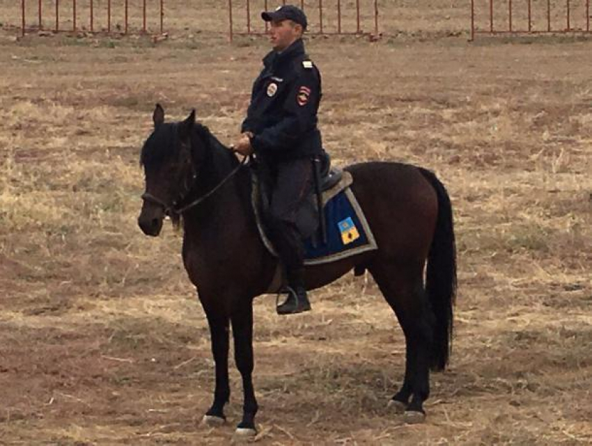 Принцем на вороном коне, которого объявила в розыск незнакомка, оказался неженатый сержант из Волжского