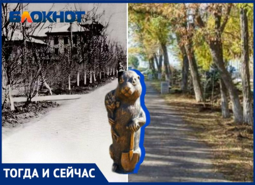 Сквер на Комсомольской: история любви и труда первостроителей Волжского