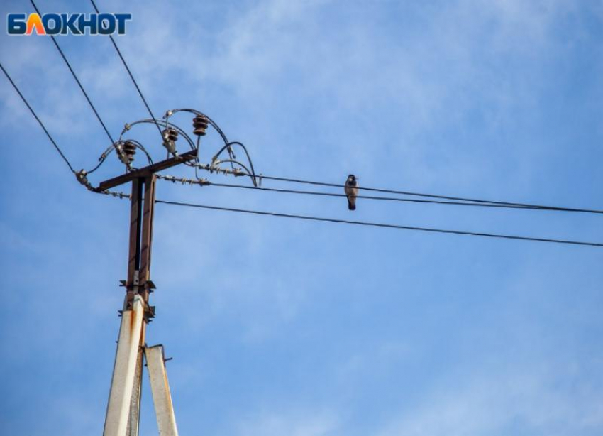 В День крыс в Волжском ожидается солнце: прогноз погоды