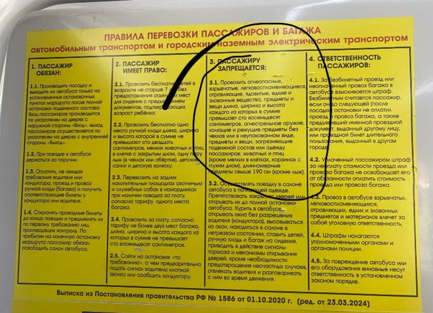 Волжанка возмутилась нарушением правил перевозки крупногабаритных вещей в автобусах
