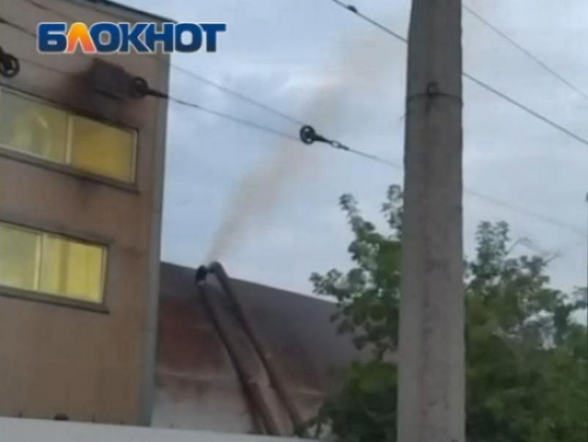 В Волжском официально ликвидировали экологическую службу 