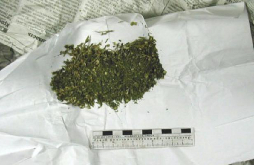 Студент техникума вместе с приятелем пытались наладить в Волжском торговлю марихуаной