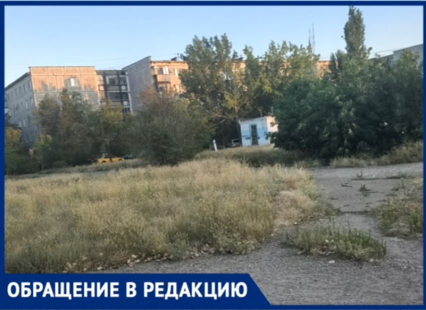 Высокая трава и амброзия в 30‑м микрорайоне Волжского: жители бьют тревогу