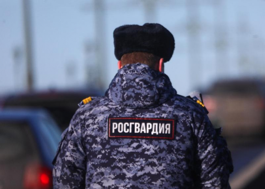 Праздник не удался: в Волжском поймали 20-летних супругов на краже алкоголя и еды