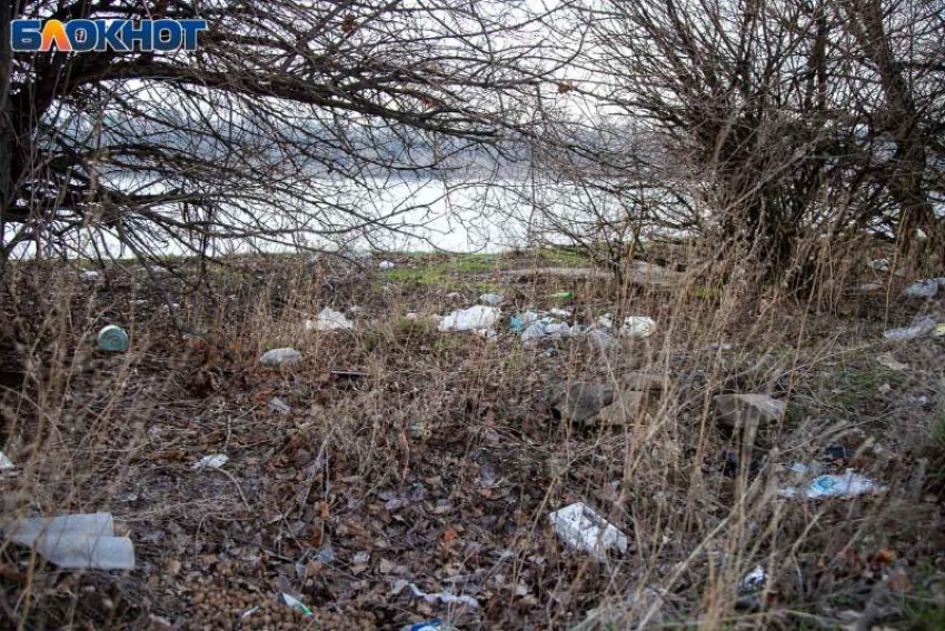 Полигону в Волжском дали 10 дней на исправление: УФАС заподозрил мусорного оператора в нарушении закона