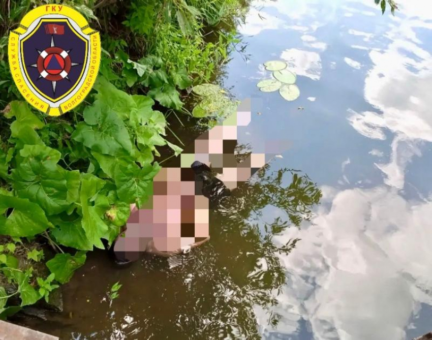 В Волгоградской области нашли тело мужчины в реке Медведице