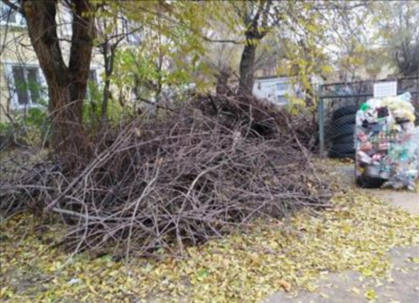 Огромная куча сухих веток создает грязь в Волжском