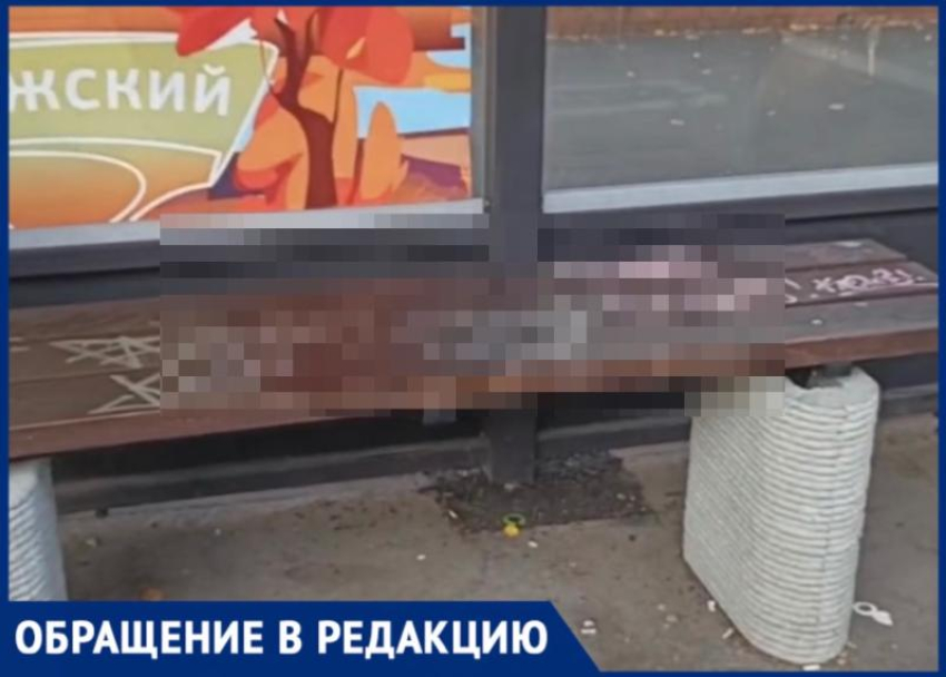 «Даже камера не остановила»: в Волжском вандалы испортили новую остановку на ВГС