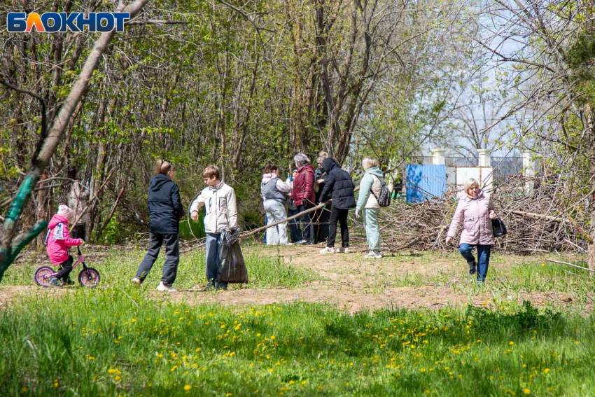 2 тысячи деревьев и 594 организации: в Волжском подвели итоги генеральной уборки