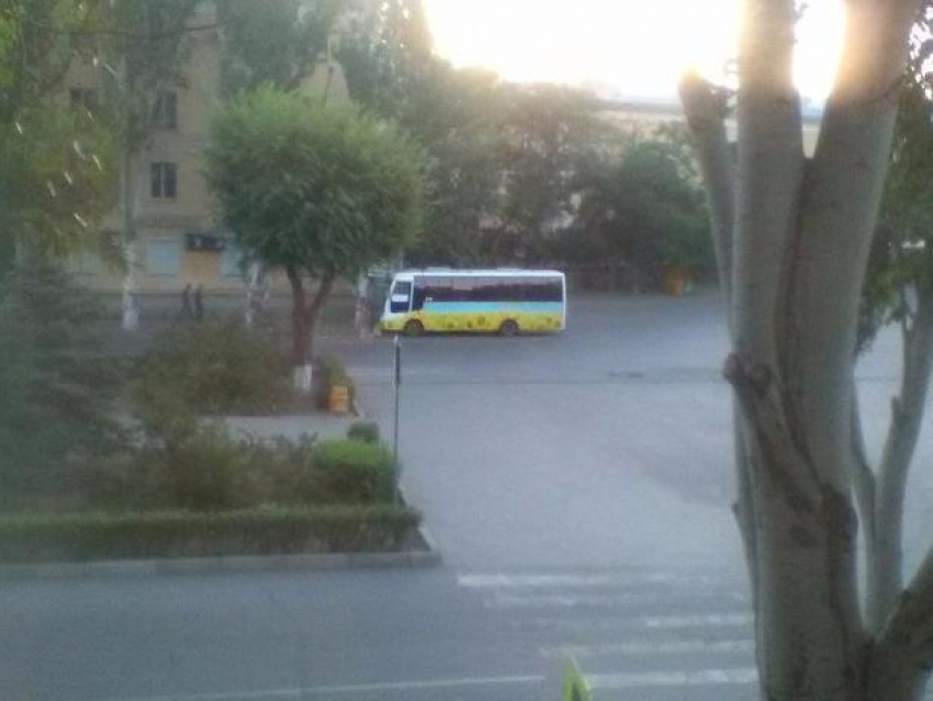 Пассажирский автобус въехал в дерево на пустой дороге Волжского