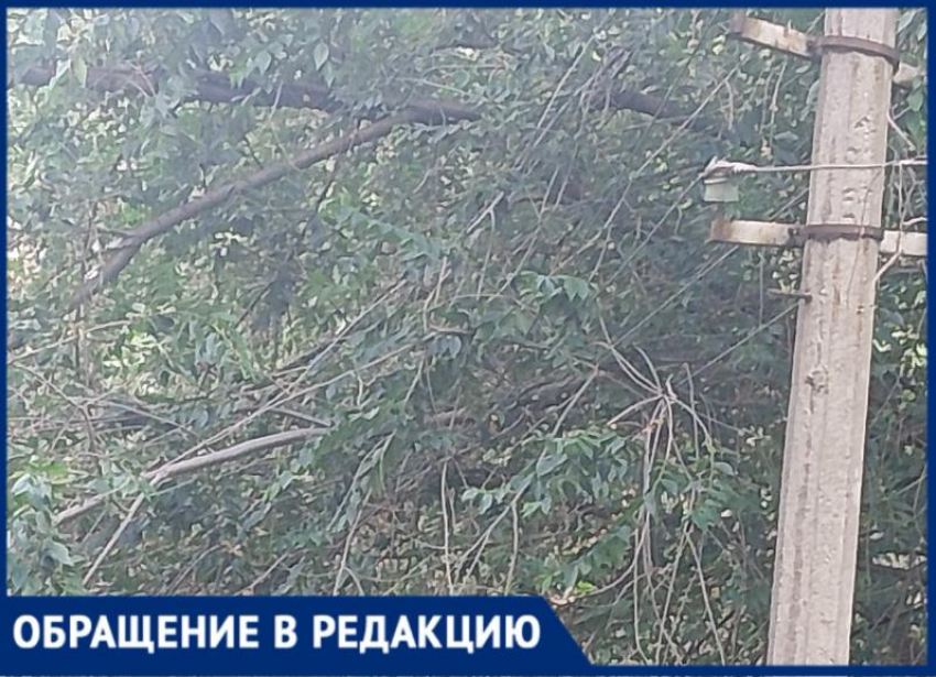 «Провода скоро оборвутся»: жители дома в Волжском бьют тревогу