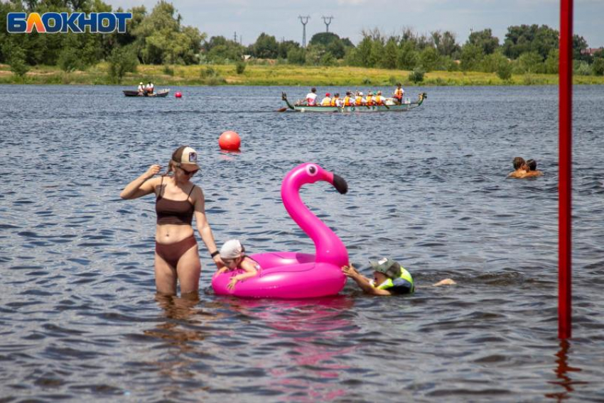 Август начнется с тепла и засухи в Волжском