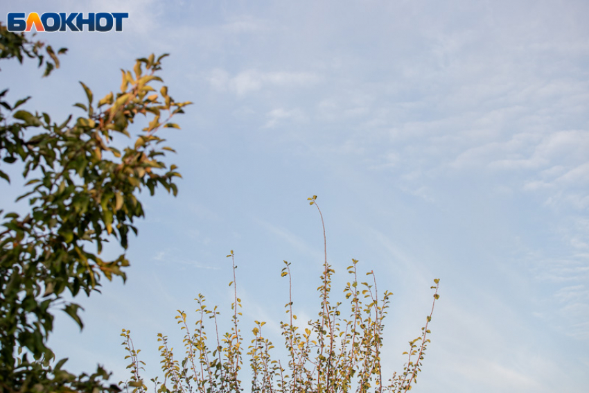 Утро сегодня - не лучший союзник: гороскоп на 30 января