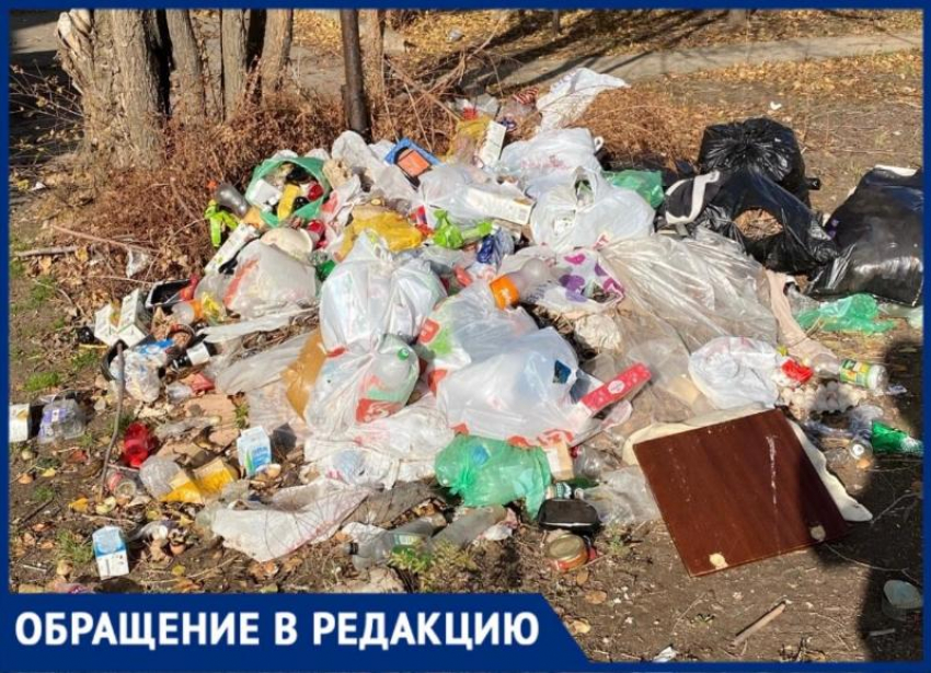 В старой части Волжского образовался мусорный коллапс: фото