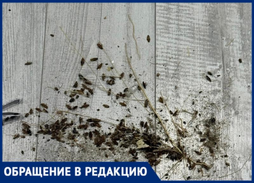 Деменция и запущенная квартира: соседи опасаются за жизнь пенсионерки и всего дома в Волжском