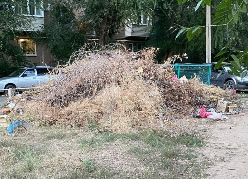 Жители Волжского продолжают жаловаться на сухие спиленные ветки