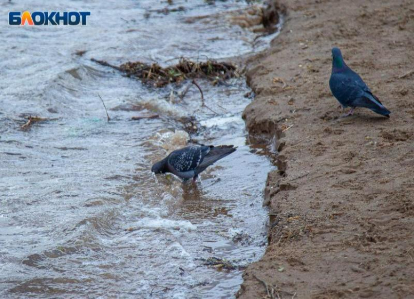 Облачная среда ждет волжан: прогноз погоды