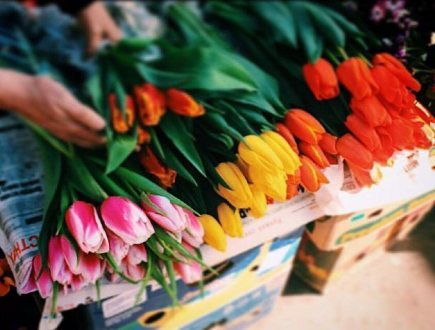 В Волжском взлетели цены на цветы к 8 марта: красавицы-розы по 160 рублей, грациозные тюльпаны по 70