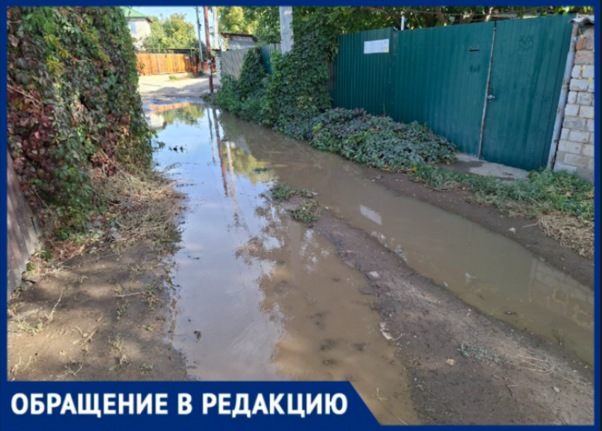 Дача превратилась в болото: в волжском СНТ неделями топит улицу из-за прорыва трубы