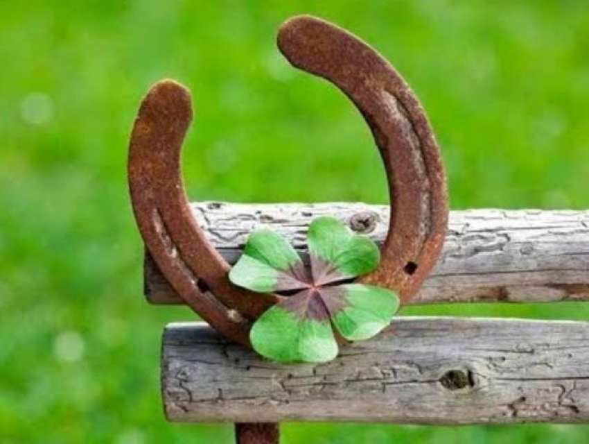 Почти четыреста волжан считают, что удача всегда на их стороне