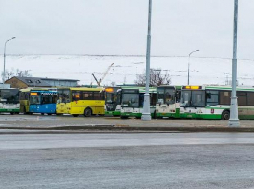 Волжан на Крещение повезет специальный автобус