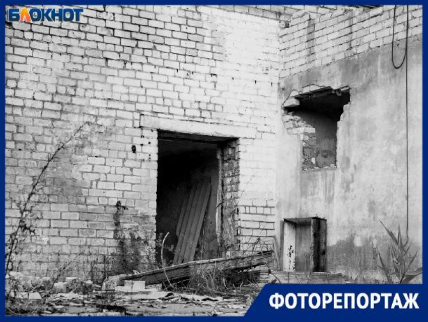Окраины города Волжского превратились в хоррор