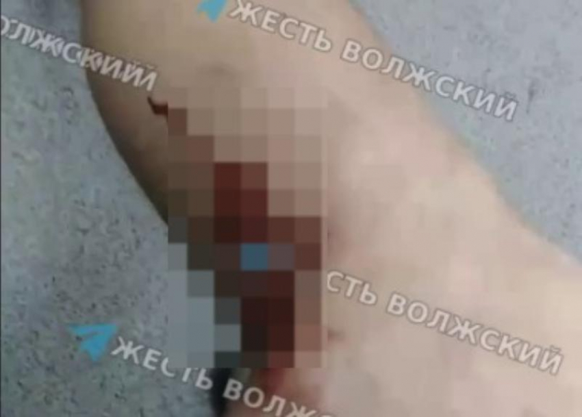 Собака напала на велокурьера в Волжском (18+)