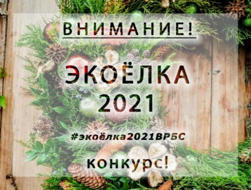 Волжан приглашают принять участие в конкурсе «Экоелка 2021»