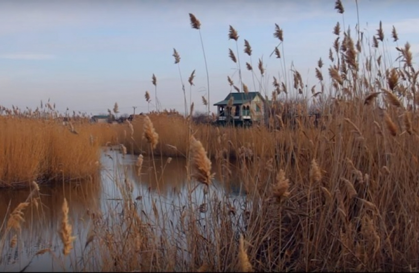 Волжская осень попала в объектив волгоградского видеографа